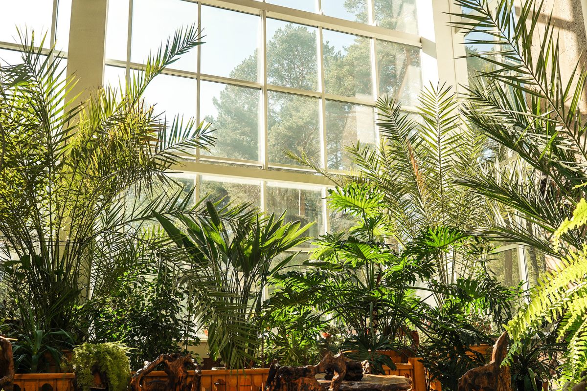 green-thumb-not-required-10-effortless-diy-tips-for-nurturing-indoor-plants