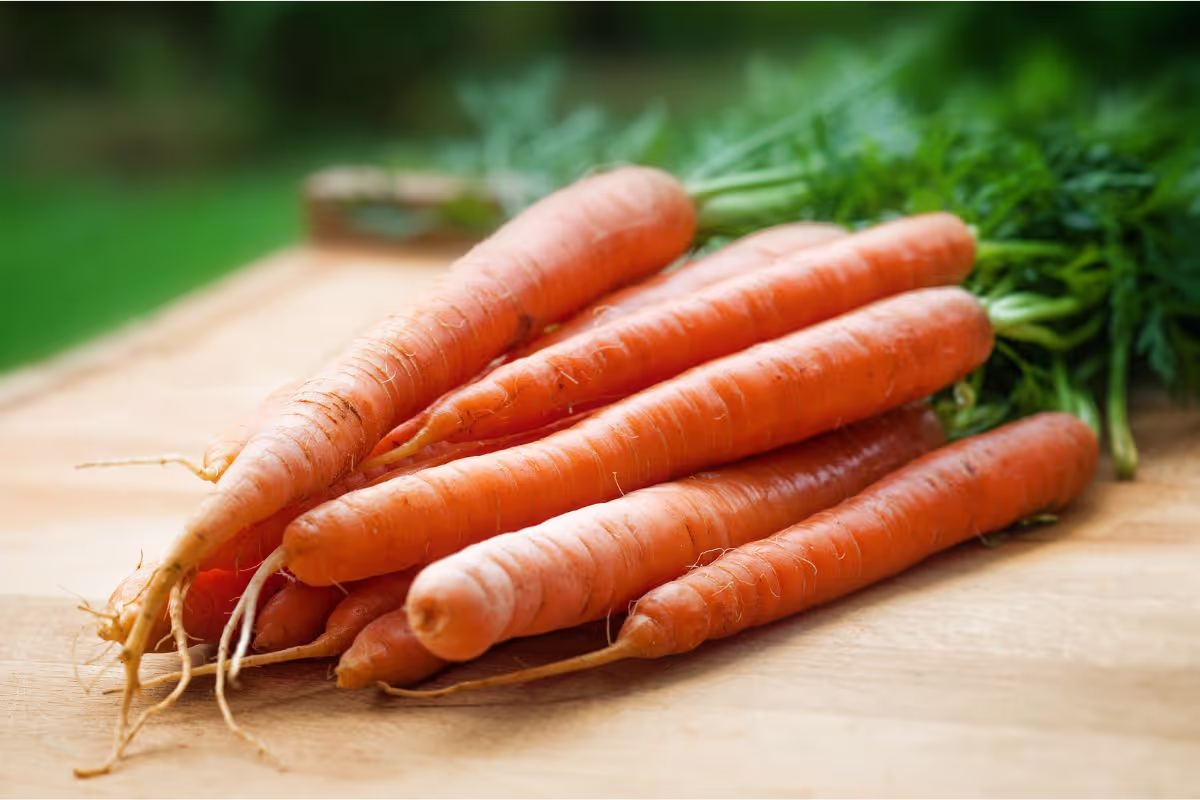 crunchy-and-delicious-5-carrot-recipes-to-brighten-your-day