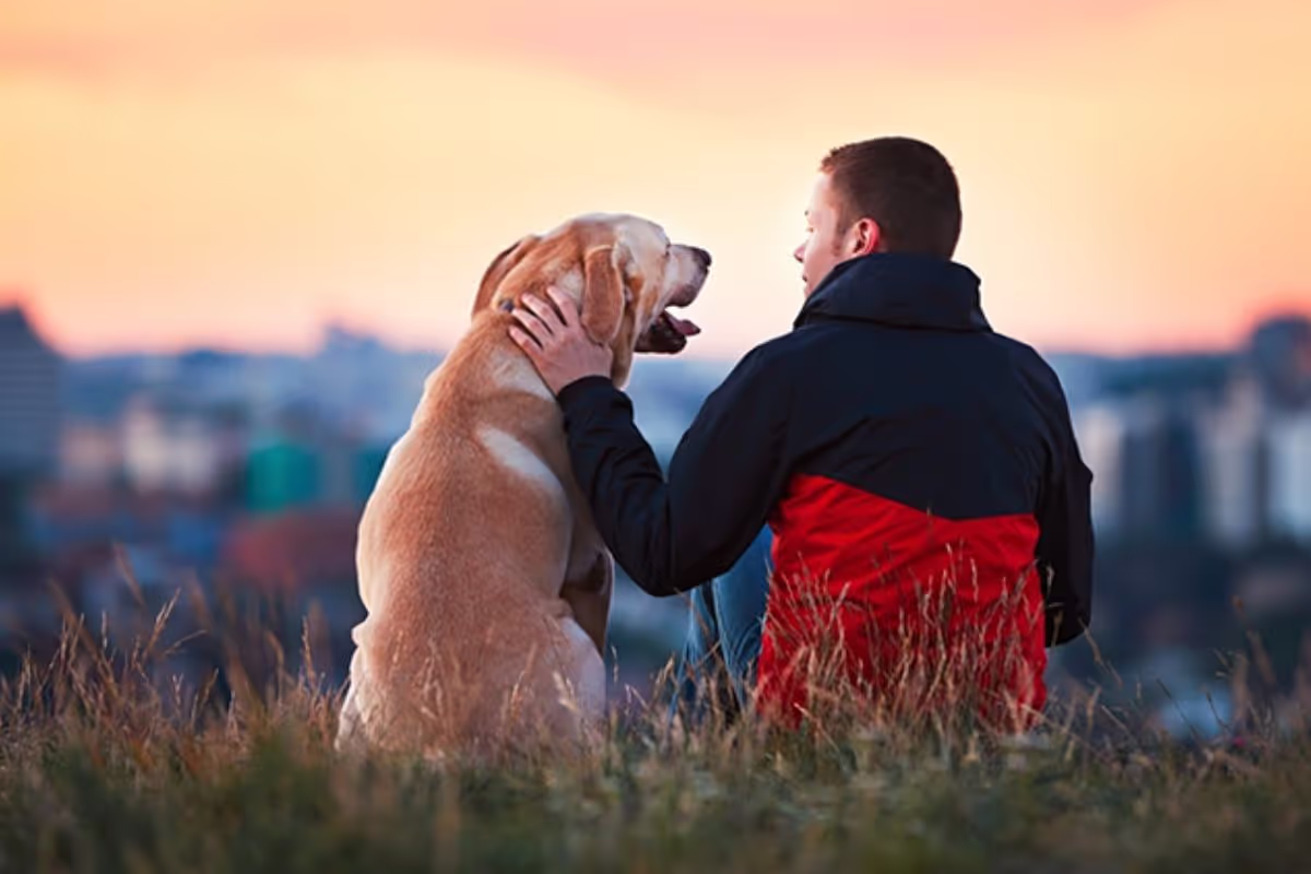 mastering-the-art-of-capturing-unforgettable-moments-with-your-furry-friend