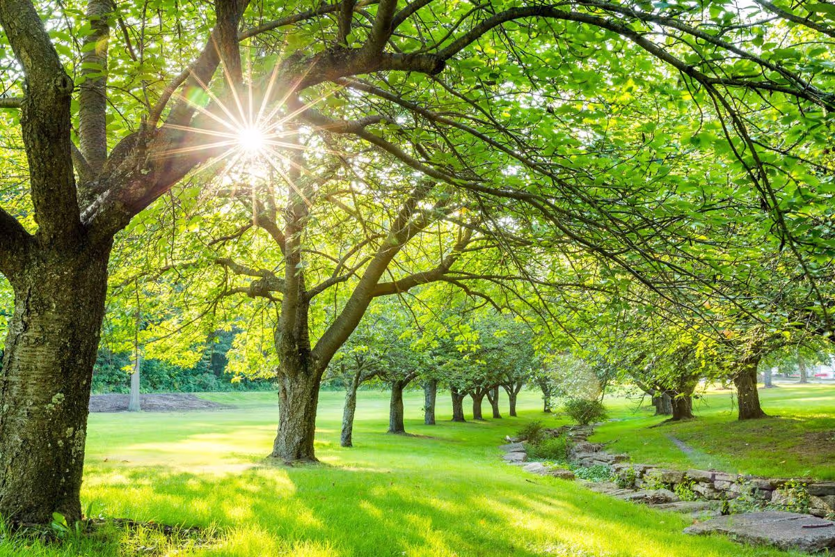 5-ways-to-practice-sustainable-living-during-the-summer-months