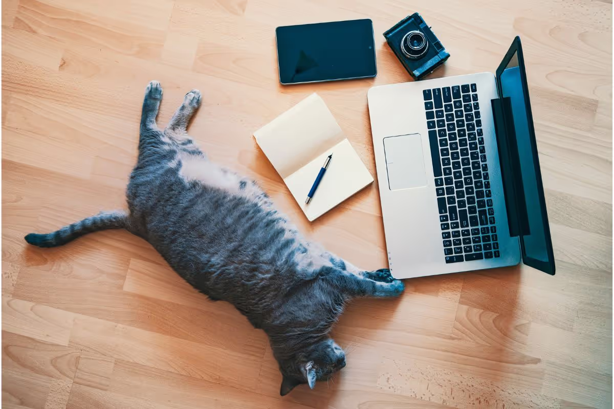 how-to-fully-embrace-a-lazy-day