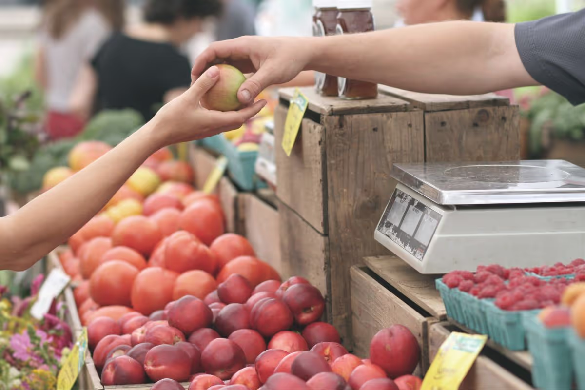 farm-to-table-understanding-the-benefits-of-supporting-local-farmers