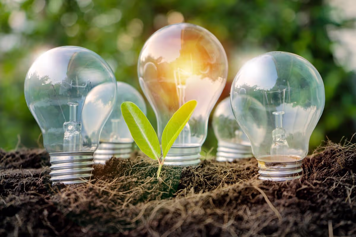 fun-ways-to-save-energy-and-save-money
