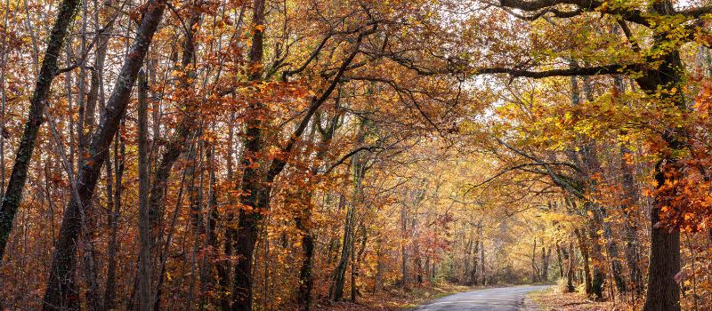 top-5-fun-outdoor-activities-to-kick-off-the-holiday-season