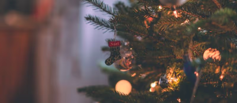 4-tips-for-hunting-down-the-ultimate-christmas-tree