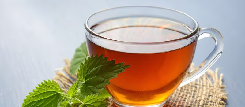 steeped-in-joy-5-cozy-reasons-to-celebrate-with-a-hot-tea-this-january