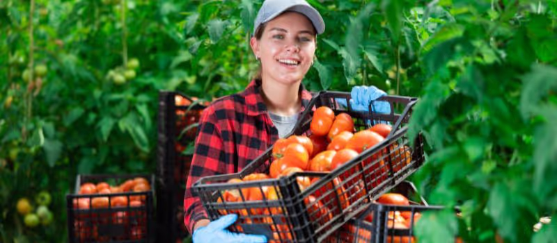 harvesting-appreciation-5-reasons-to-be-thankful-for-farmers-and-the-food-they-bring-to-our-tables
