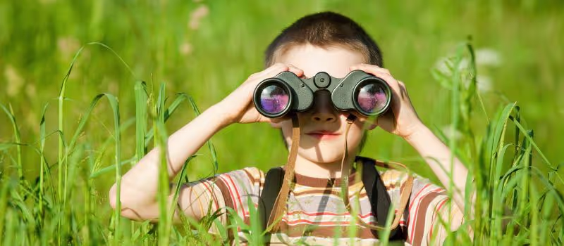 5-exciting-educational-activities-for-the-whole-family-to-celebrate-wildlife-day