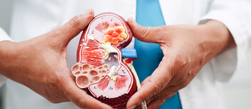 5-essential-steps-to-keep-your-kidneys-healthy-and-thriving