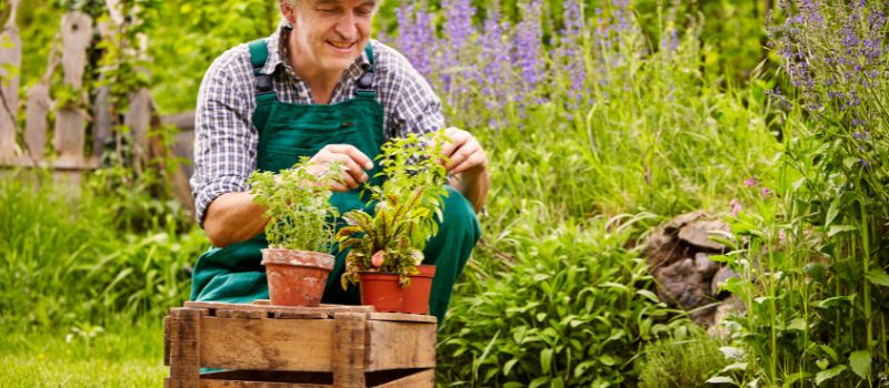 5-surprising-ways-gardening-can-be-a-great-workout